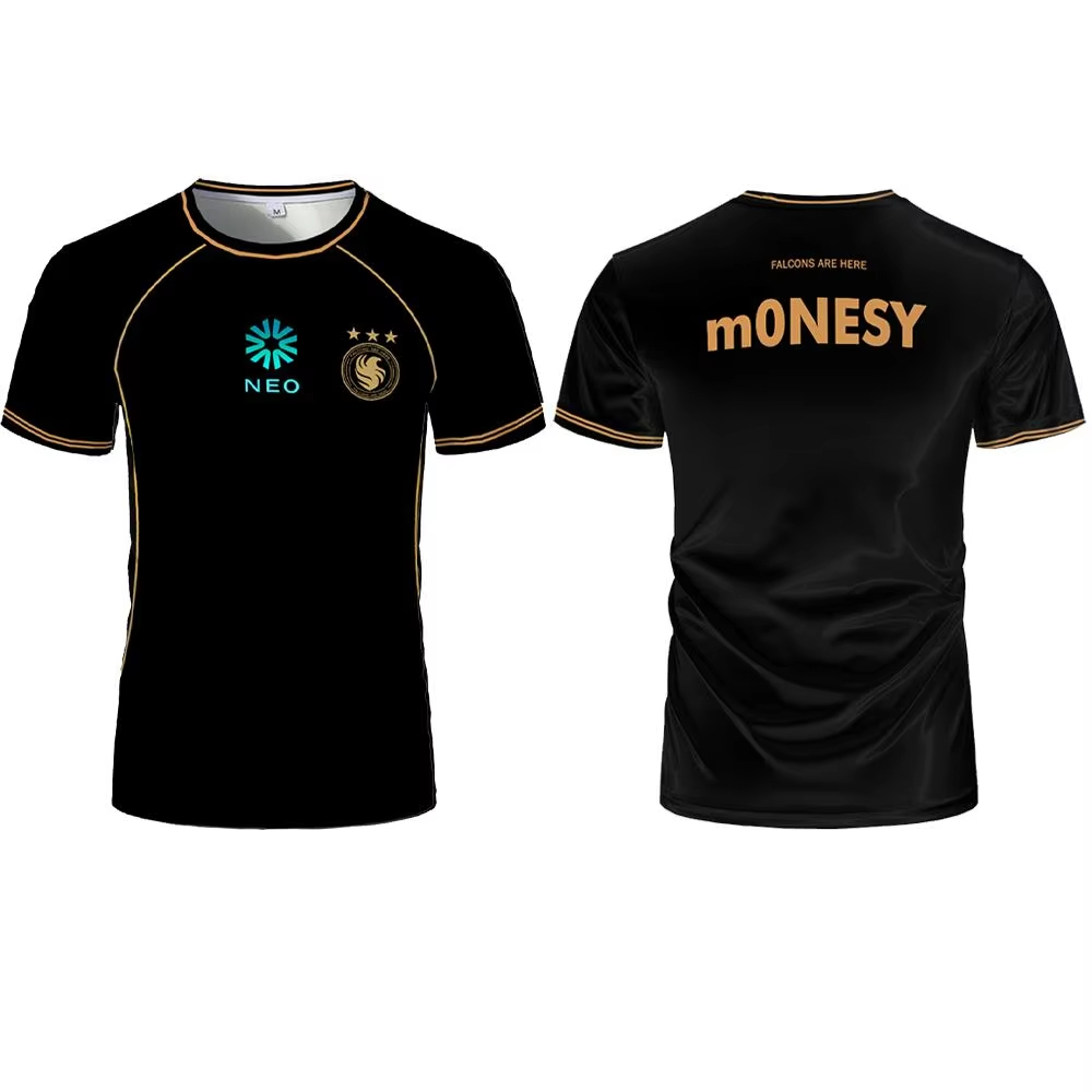 Maglie da Allenamento Team Fal - Esports Gaming Teams recensione e prezzo